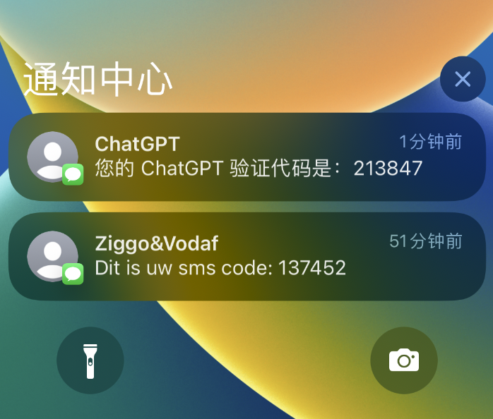 每年10块钱！无需KYC的荷兰沃达丰eSIM保号神卡全攻略。 配图 1